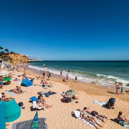 Algarden Olhos D'agua